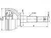 CV Joint:39100-01A00