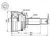 CV Joint:49500-17150