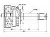 球籠 CV Joint:49501-17050